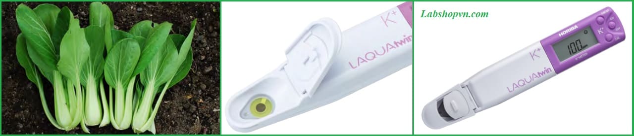 Xác định hàm lượng ion kali bằng bút đo Horiba