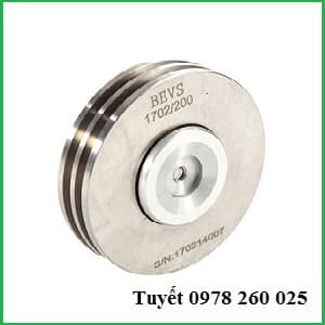 Thước đo độ dày sơn ướt Trung Quốc BEVS 1702