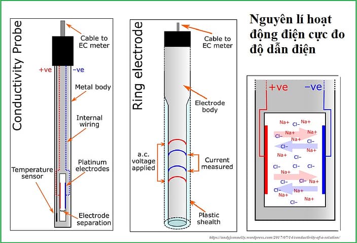 Nguyên lí hoạt động của điện cực đo độ dẫn điện